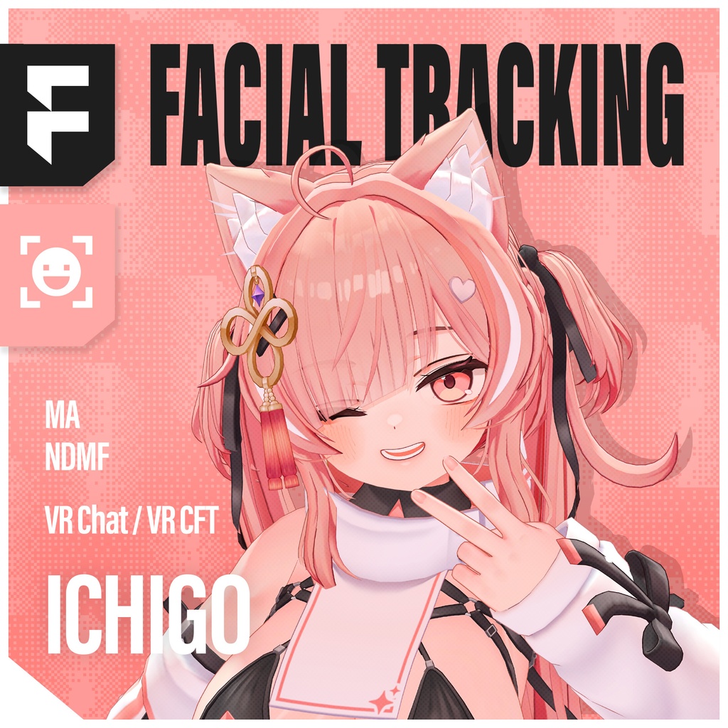 ICHIGO(イチゴ)'s FacialTracking Setting