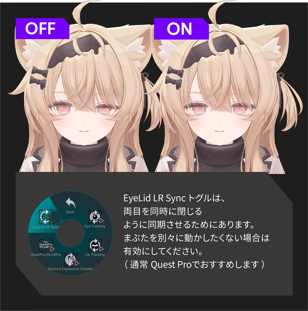 Eku(エク)'s FacialTracking Setting