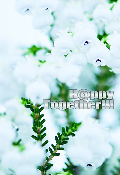 H＠ppy Together!!!(しのきわしの性的接触無につき左右不明)
