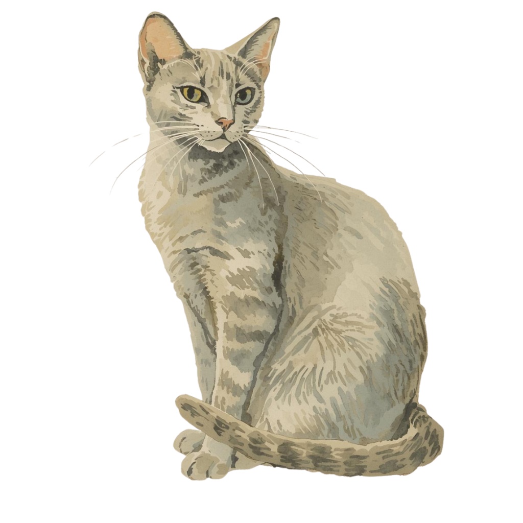 🎀 アンティーク水彩猫クリップアートセット 🎀