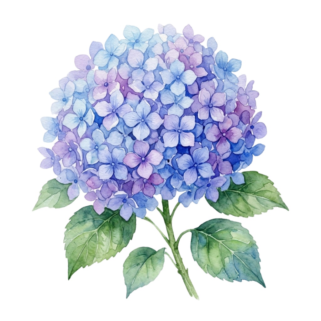 🌼 水彩・花素材セット(背景透過PNG/12点)