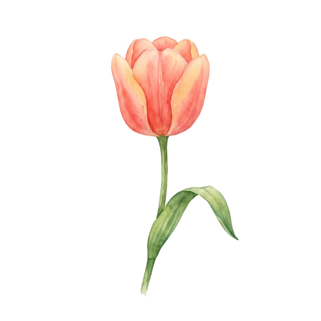 🌼 水彩・花素材セット(背景透過PNG/12点)