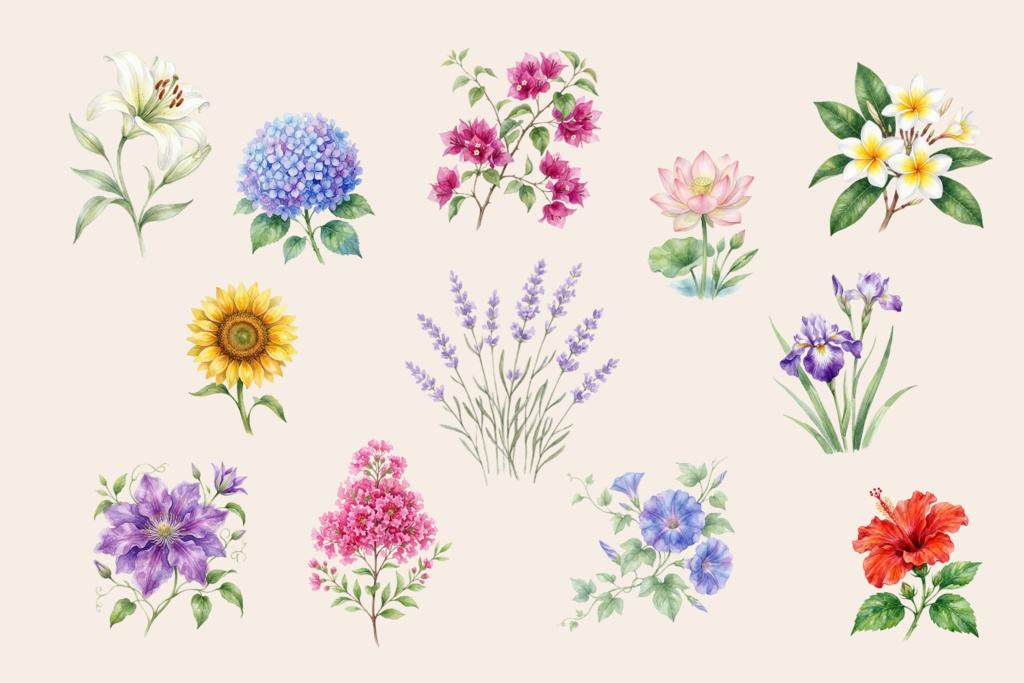 🌼 **水彩・夏の花素材セット（背景透過PNG／12点）
