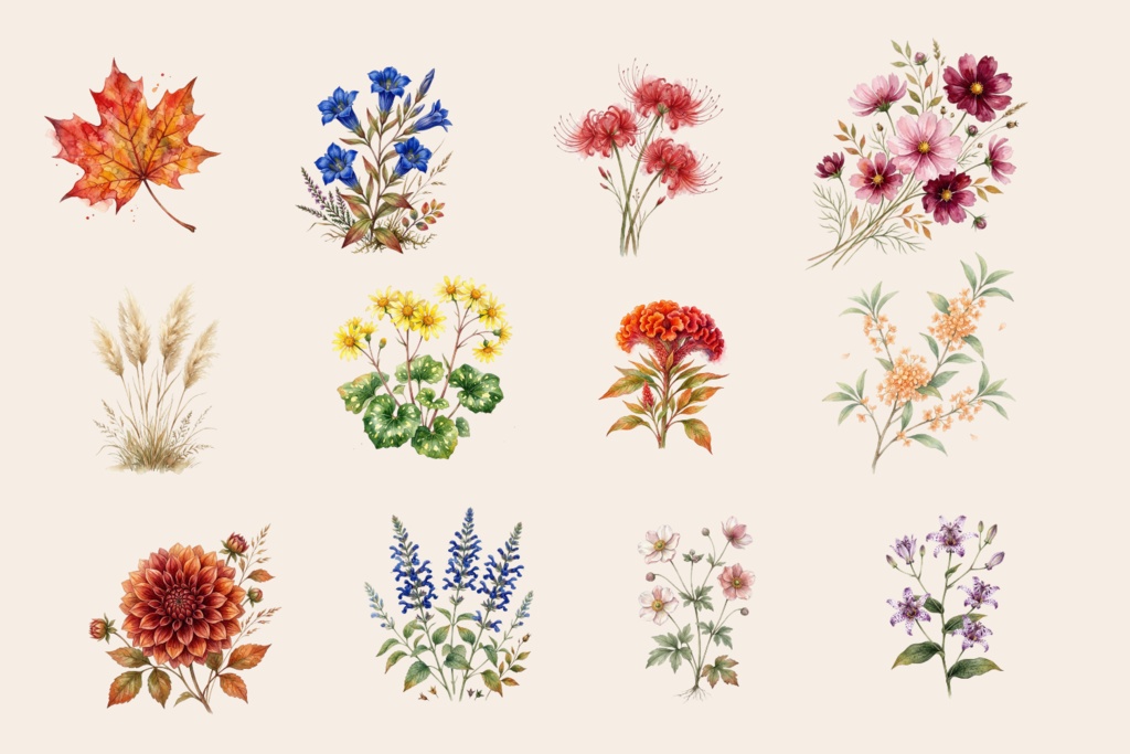 🍁水彩・秋の花素材セット（背景透過PNG／12点）