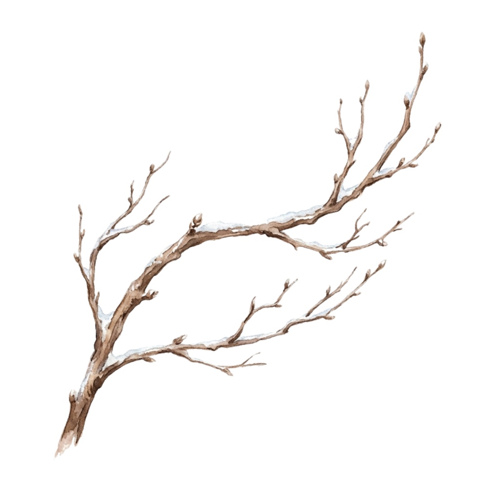 ❄️ 水彩・冬の花素材セット(背景透過PNG/18点)
