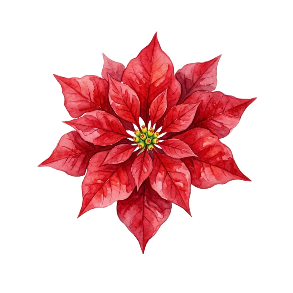 ❄️ 水彩・冬の花素材セット(背景透過PNG/18点)