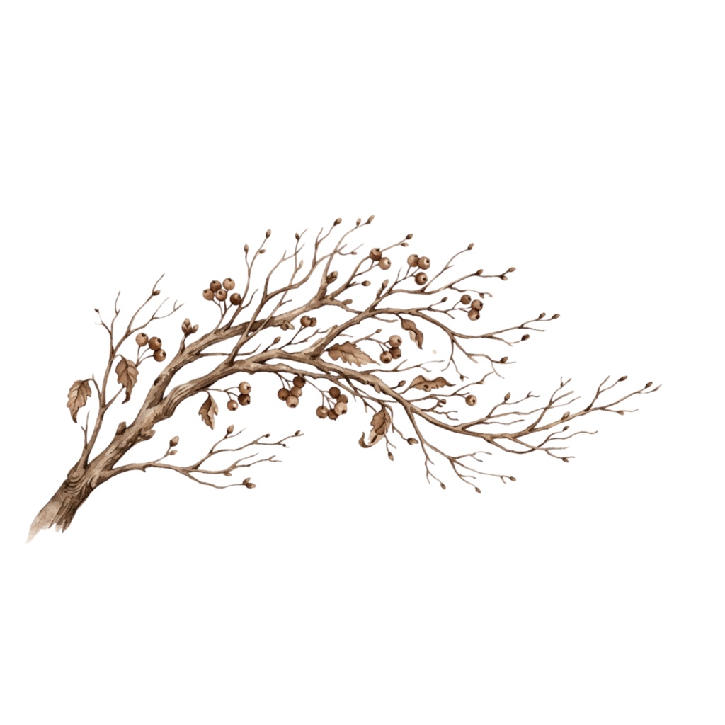 ❄️ 水彩・冬の花素材セット(背景透過PNG/18点)