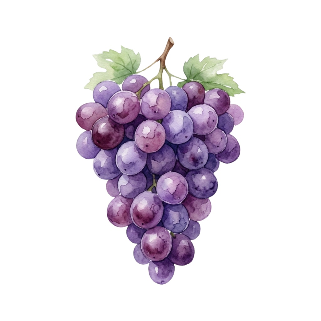 ð Watercolor Fruit Clipart Set â 12 PNG
