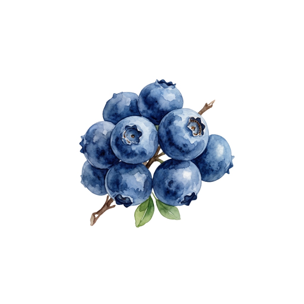 ð Watercolor Fruit Clipart Set â 12 PNG