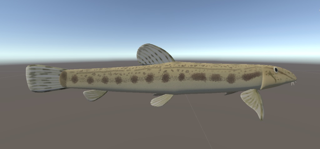 【VRChat想定】オオシマドジョウ