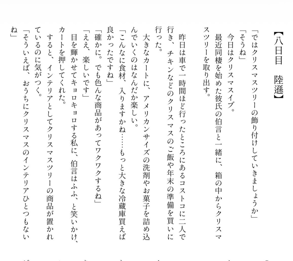 【クリスマスアドベントカレンダー企画まとめ本】君と過ごす、初めてのクリスマス【三國無双24人分夢SS】
