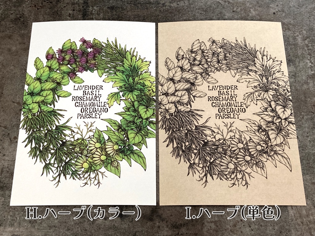 ポストカード(単品販売)