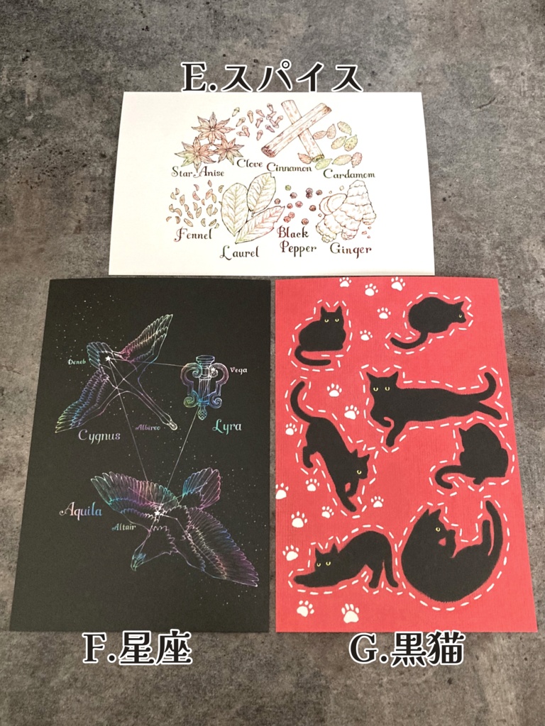 ポストカード(単品販売)