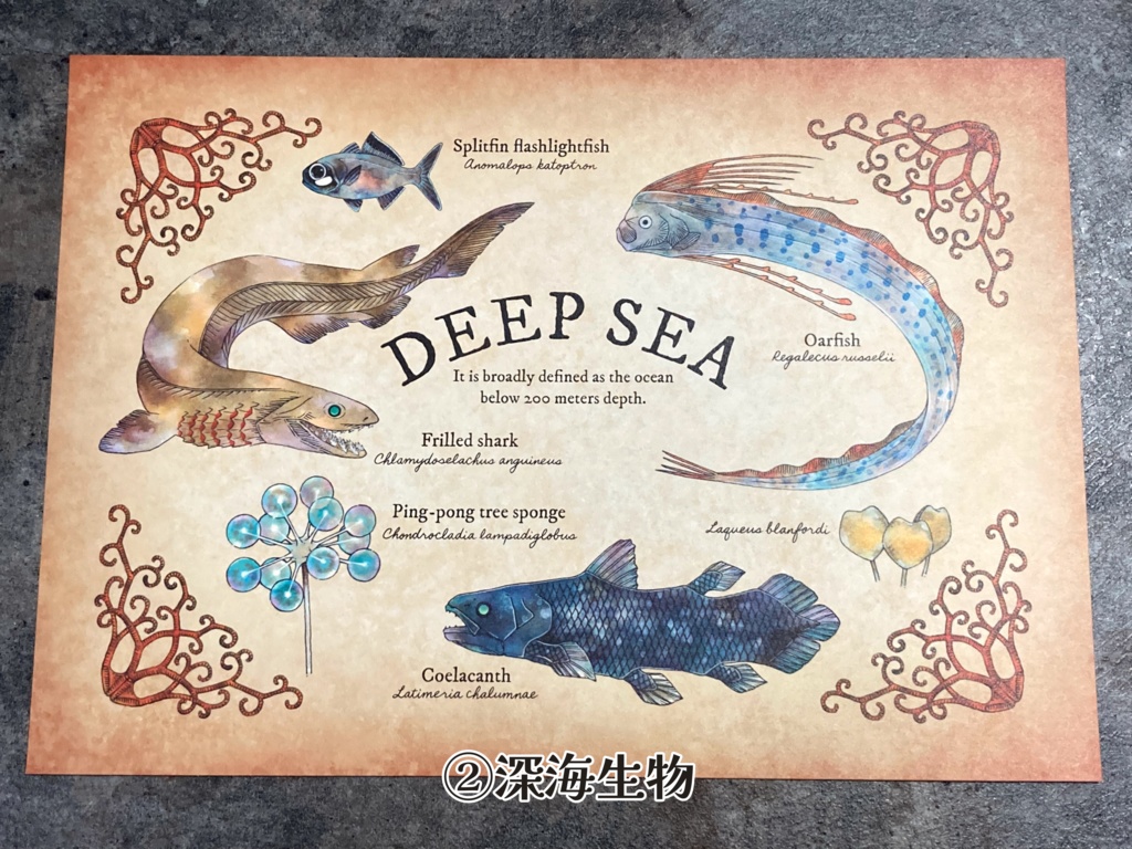 A4カード(単品販売)