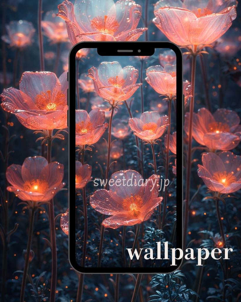 【全8枚セット】光を纏う透明な花々 - コレクション|sweet