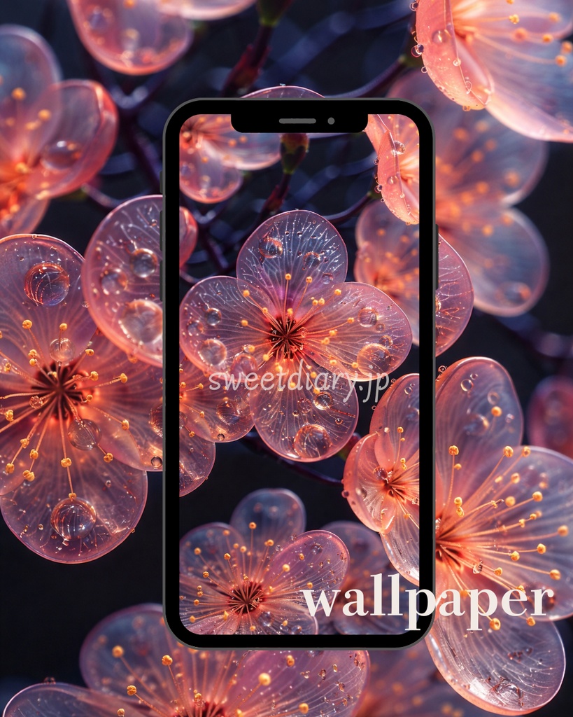 【全8枚セット】光を纏う透明な花々 - コレクション|sweet