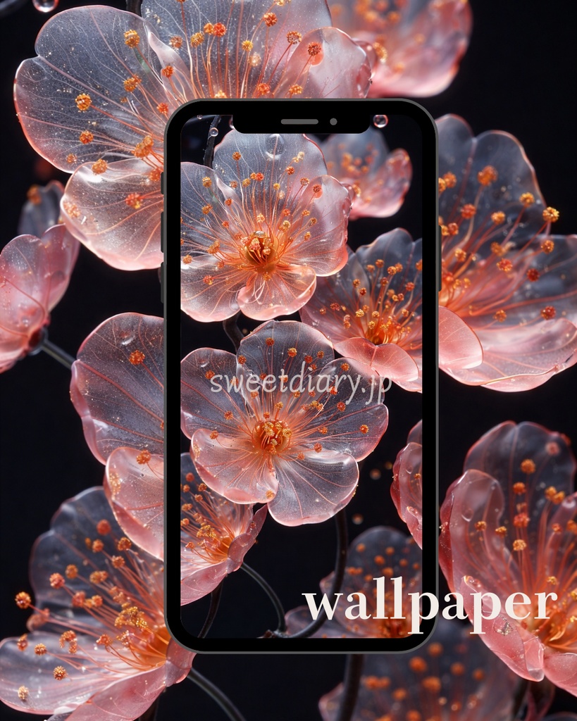 【全8枚セット】光を纏う透明な花々 - コレクション|sweet