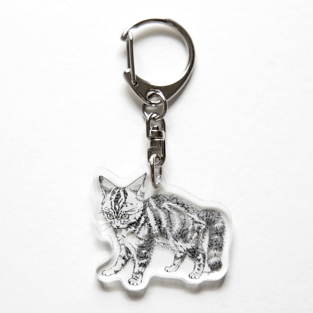 【RENTOGEN キーホルダー】怒ってる猫