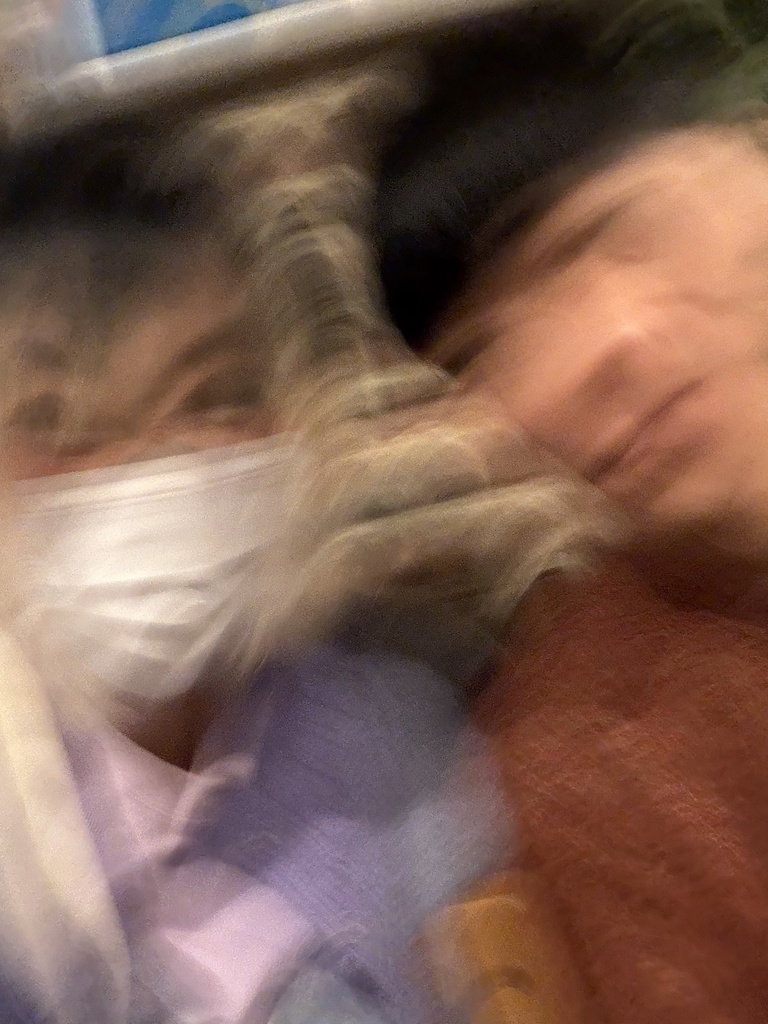 12/21シロネリアンずライブちぇき