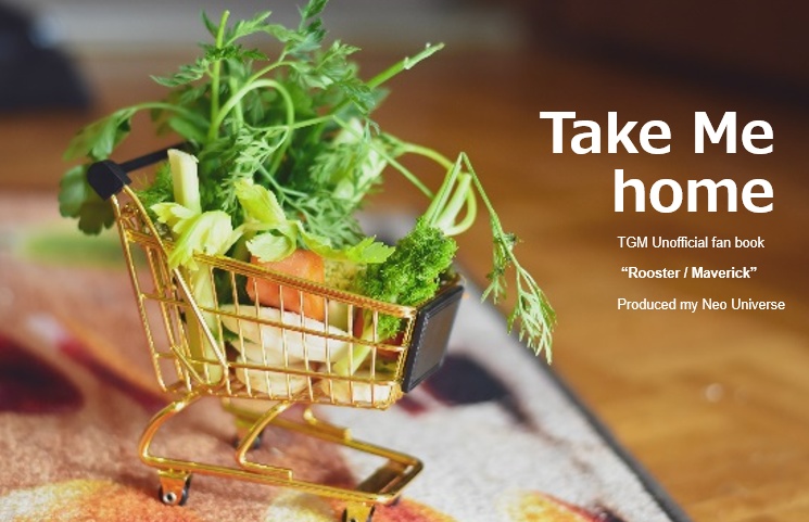 TGM Fan Book RSMV  「Take Me Home」