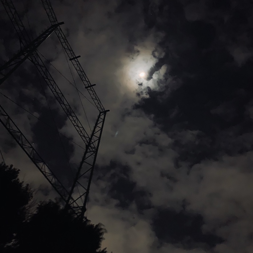 パンデミックの夜　１