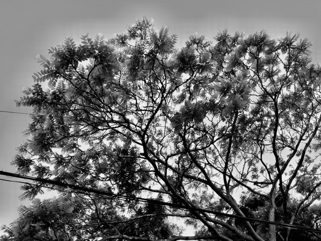 一瞬先の午後。