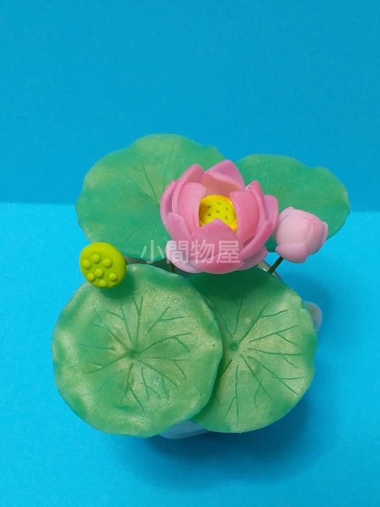 ティーカップ蓮