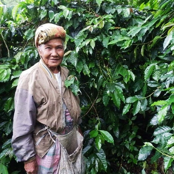 【自家焙煎コーヒー】インドネシア マンデリン バタックブルー