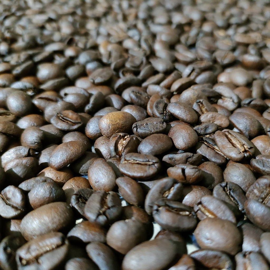 【自家焙煎コーヒー】ブラジル イエローブルボン