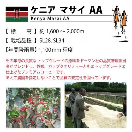 【自家焙煎コーヒー】ケニア マサイAA