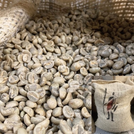 【自家焙煎コーヒー】ケニア マサイAA