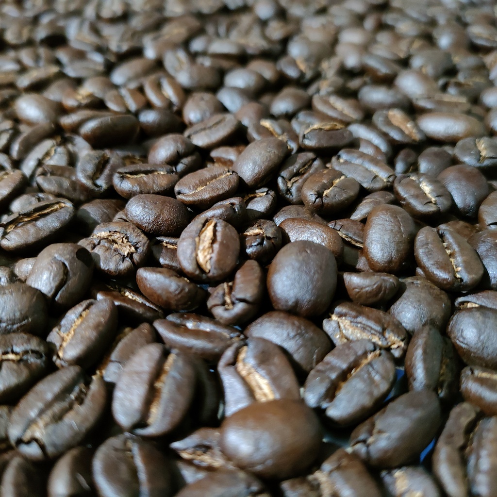 【自家焙煎コーヒー】ケニア マサイAA