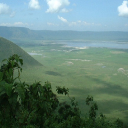 【自家焙煎コーヒー】タンザニア ンゴロンゴロAA+