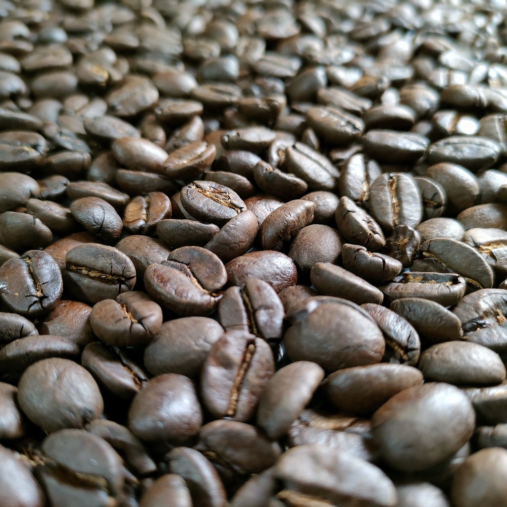 【自家焙煎コーヒー】タンザニア ンゴロンゴロAA+