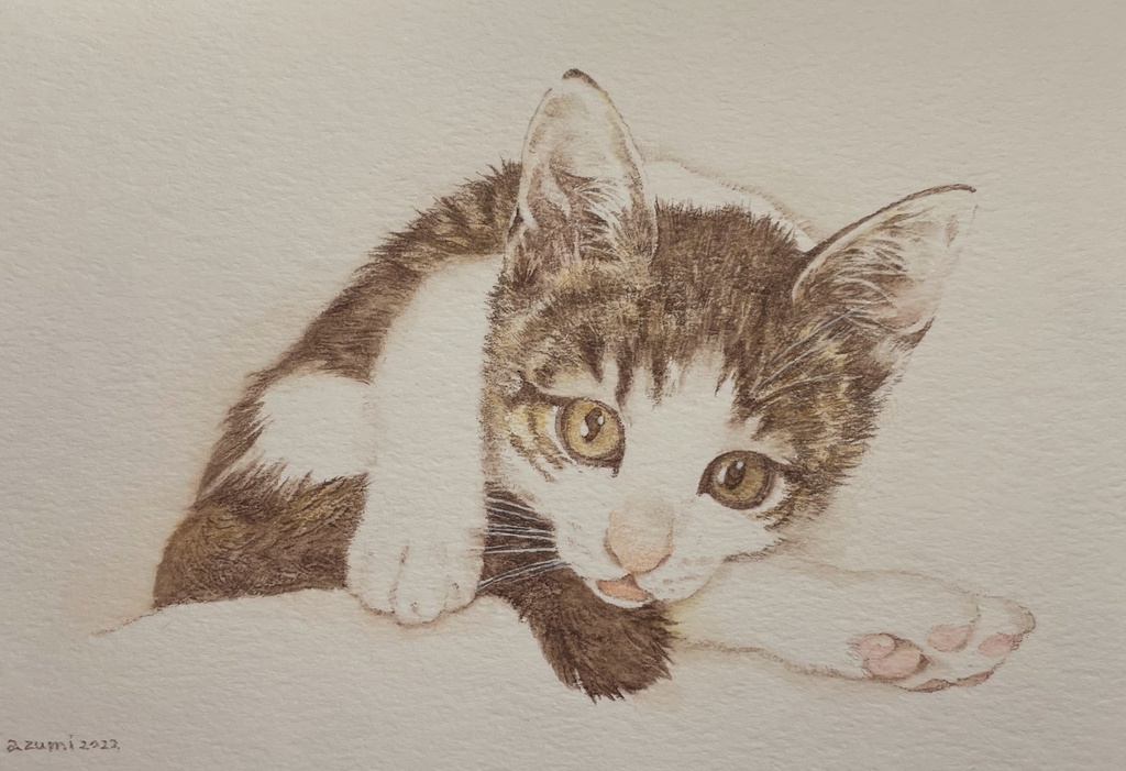 ネコチャン原画