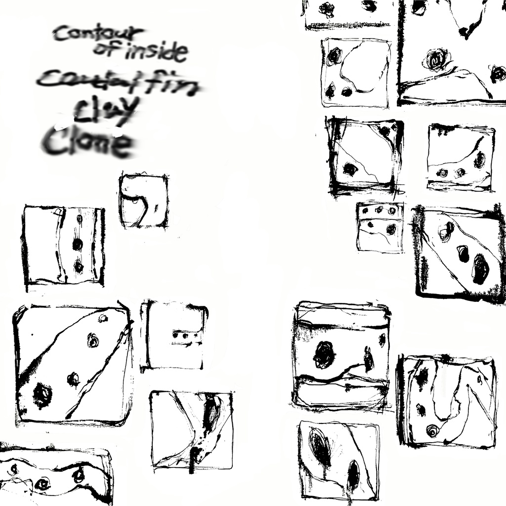 contour  of inside caudal fin clay clone 