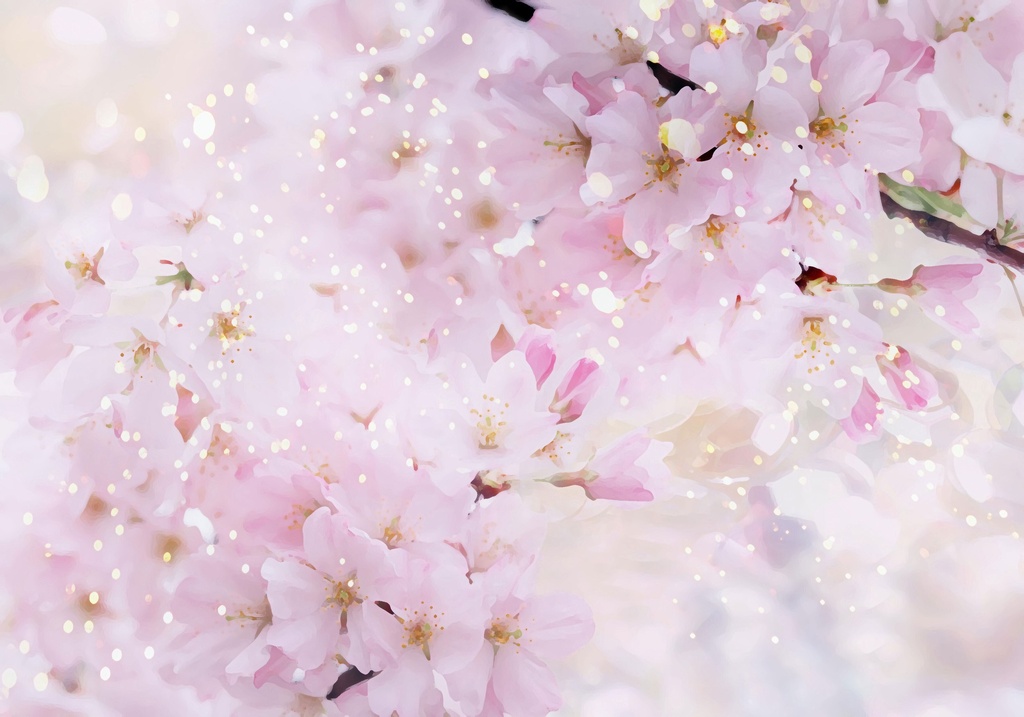 free音楽/桜が咲く頃に