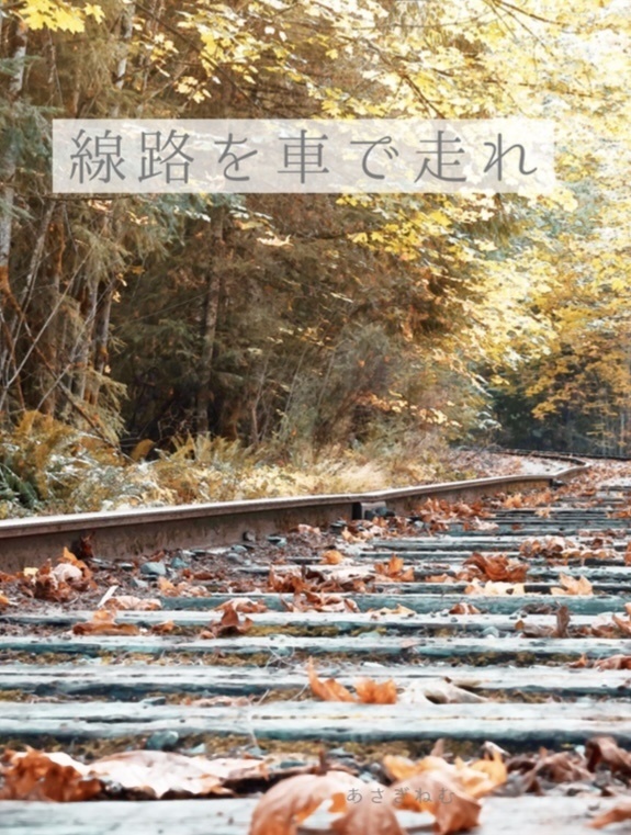 『線路を車で走れ』