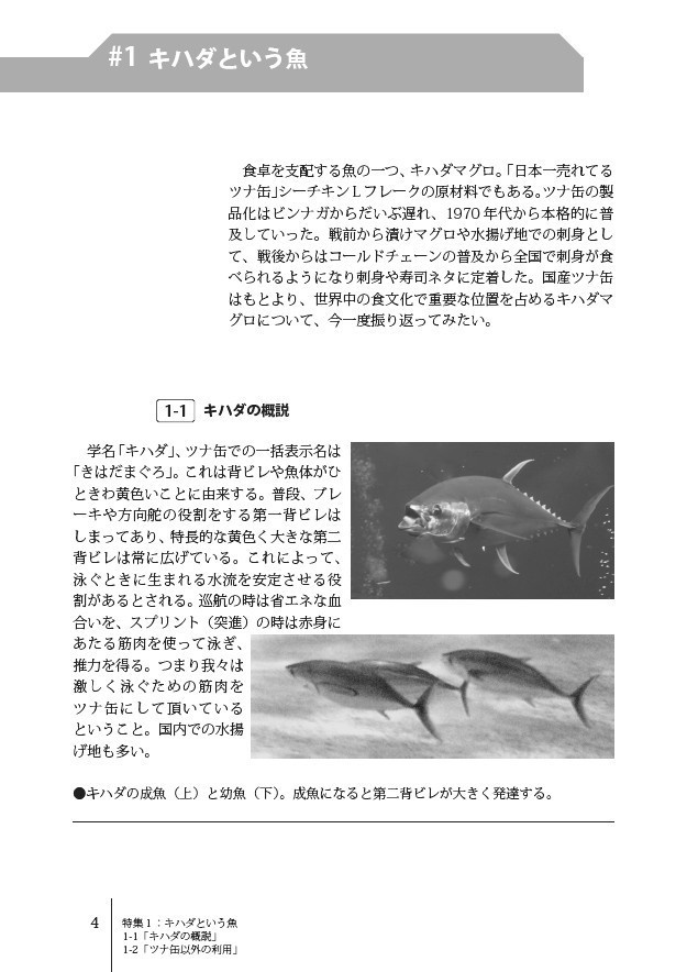 キハダという魚:ツナ缶の薄い本zu-mix vol.6