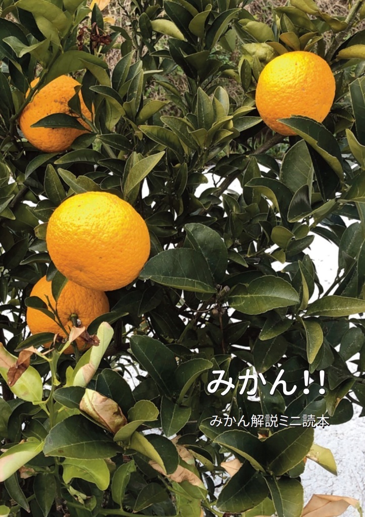 みかん！！みかん解説ミニ読本