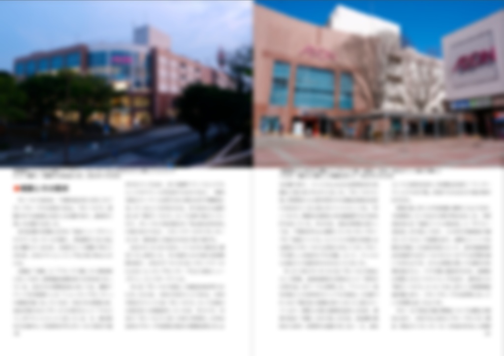 イオンが百貨店をやってみた。