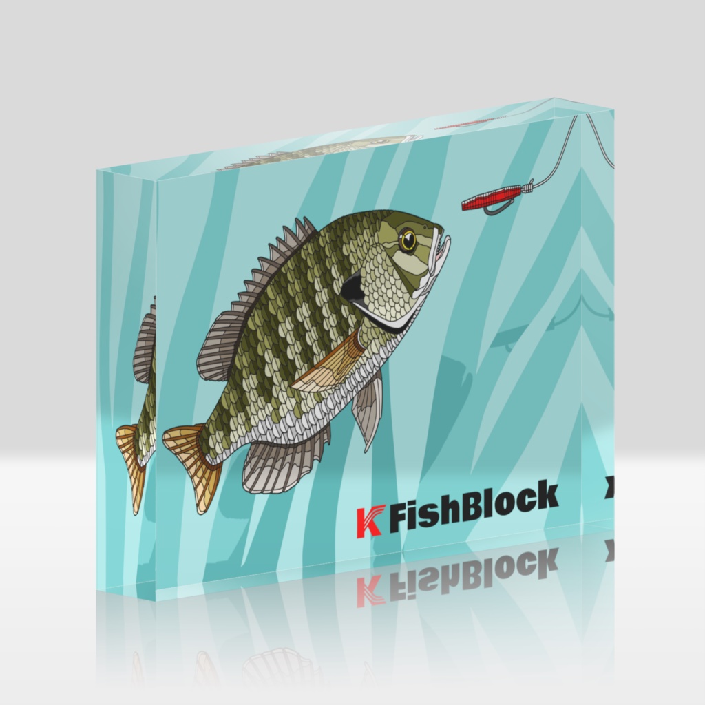  KEIMEIKAI【FishBlock/ﾌｨｯｼｭﾌﾞﾛｯｸ】 