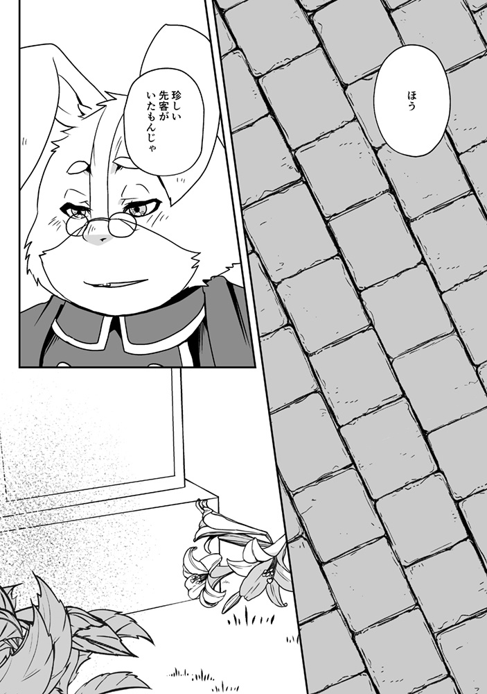 【スタフォアンソロ】Cosmic message