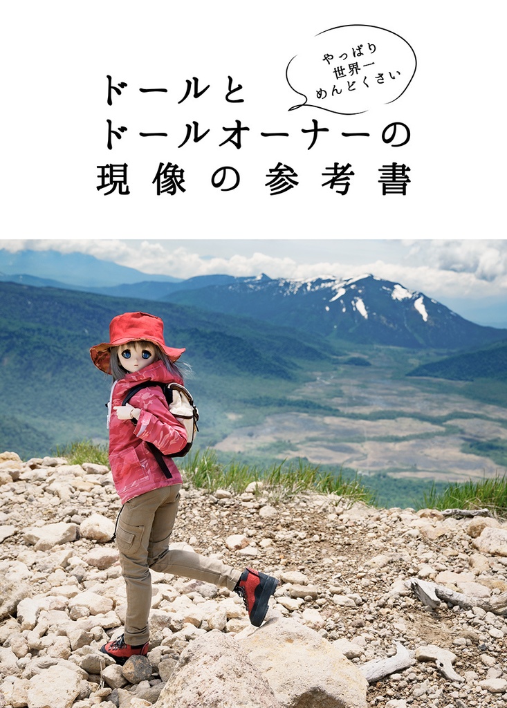 （冊子版）やっぱり世界一めんどくさいドールとドールオーナーの現像の参考書