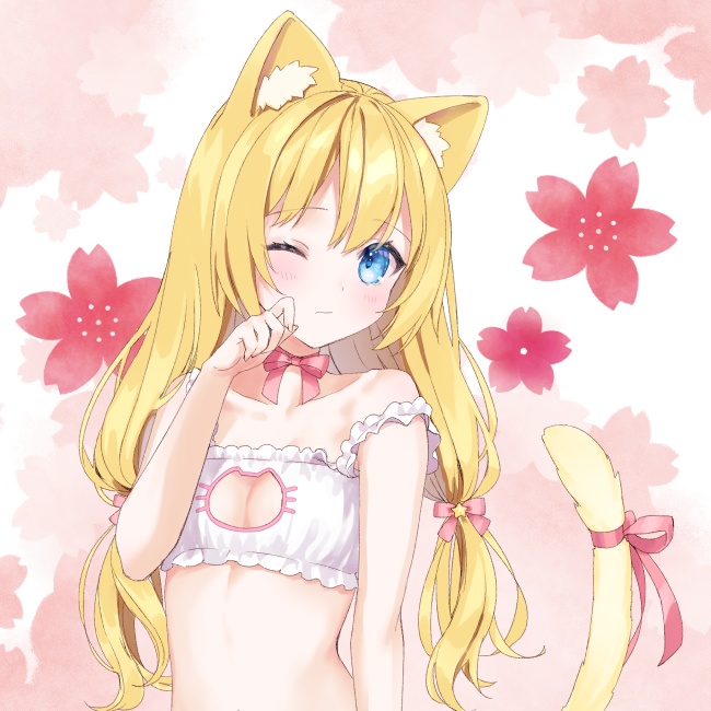 猫ランジェリーくくさま🐈メガネ拭き