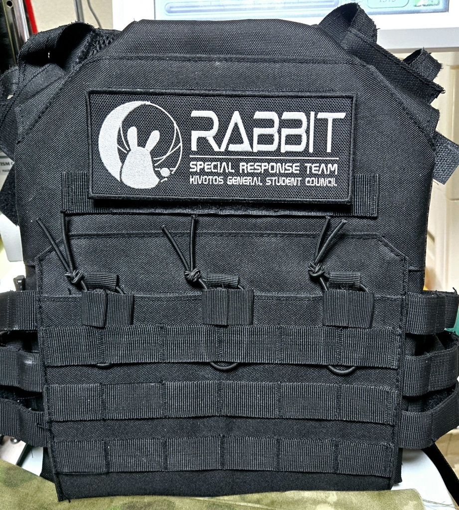 RABBIT小隊 フロントパッチ ver2.5(幅160mm)