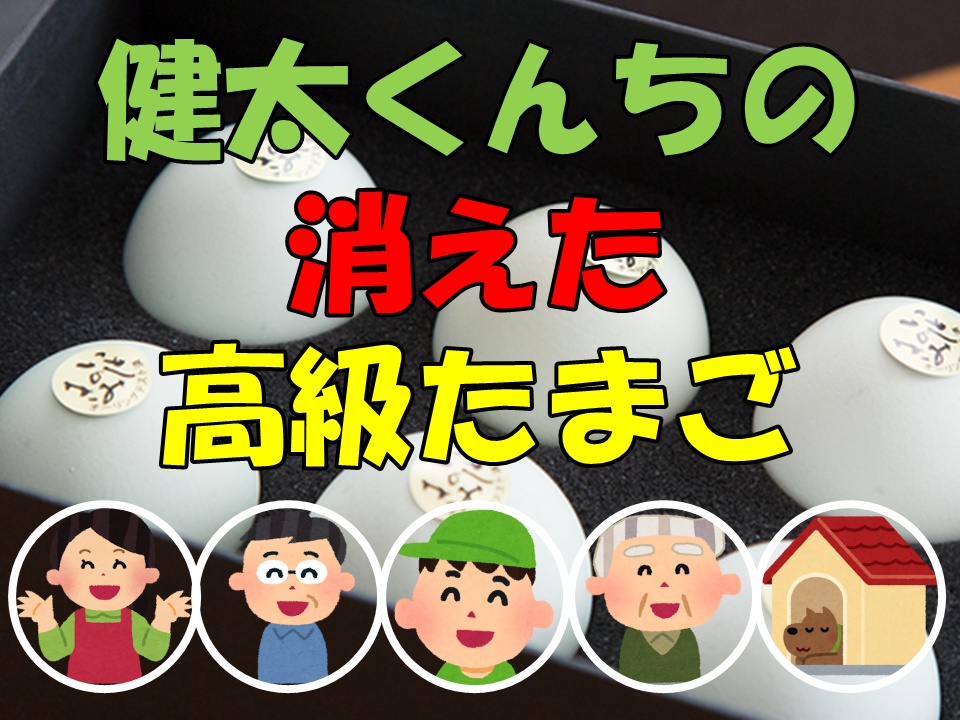 【マダミス入門】【4人用】健太くんちの消えた高級プリン【健太くんちシリーズ】