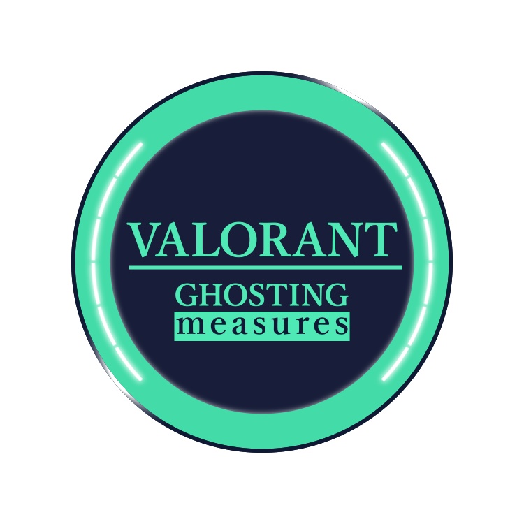 VALORANT ミニマップ隠し用 画像