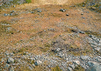 【A2サイズ】フィギュア撮影用 地面素材 2枚セット ジオラマ・ドール撮影用