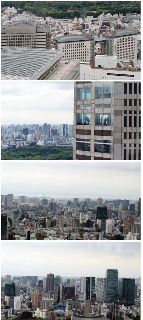 【約100枚】フィギュア撮影用 新宿の風景背景素材セット|新宿都庁展望室から見た高層ビル・街並み|商用利用可